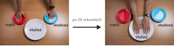 Obr. 1: Průběh experimentu